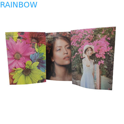 กระเป๋าบรรจุอาหาร Pla ที่กําหนดเอง กระเป๋าพลาสติก Zip Lock กระเป๋าแผ่นอลูมิเนียม